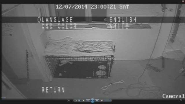 Chilling details revealed in Craigslist killing | wcnc.com