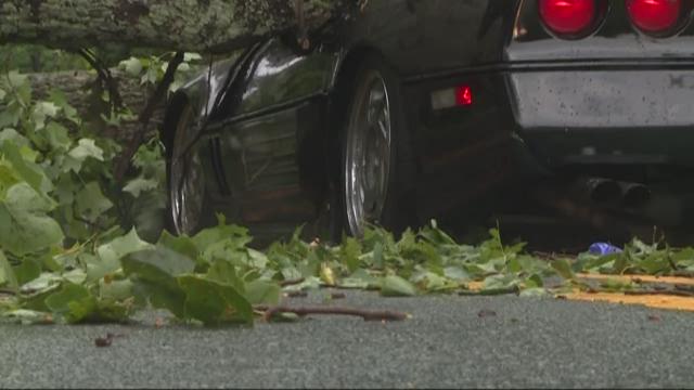 Driver hospitalized after tree smashes into Corvette | wcnc.com