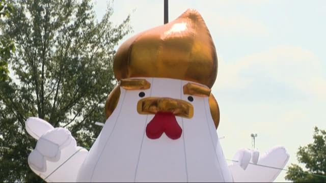 Inflatable Chicken Resembling Trump Spotted Outside Tillis Office